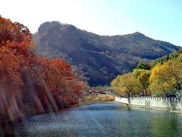 天天彩好彩天天免费，汽车地板胶价格